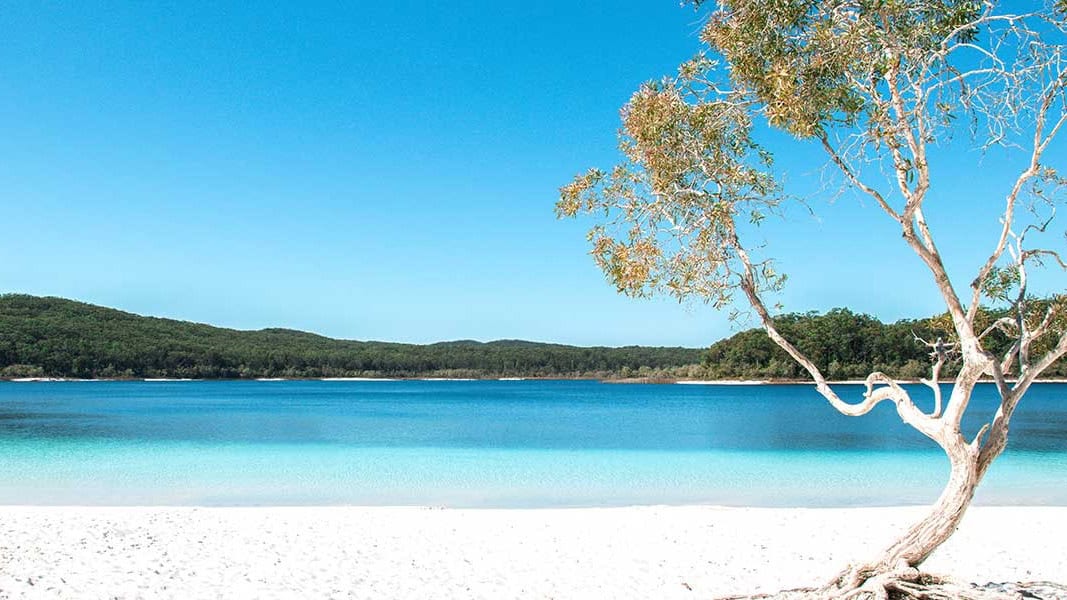 Lake Birrabeen Sand | Orchid Blue