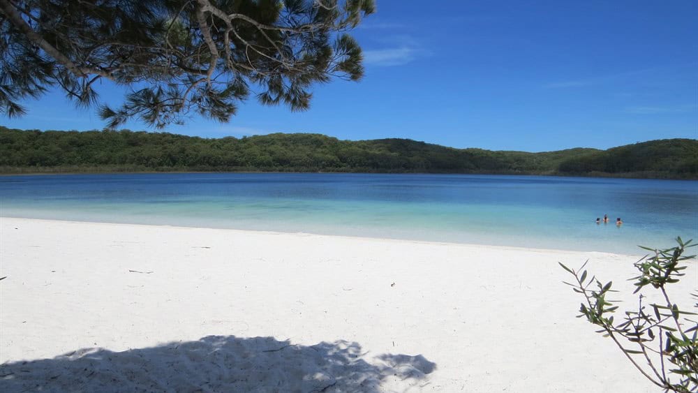 Lake Birrabeen | Orchid Blue