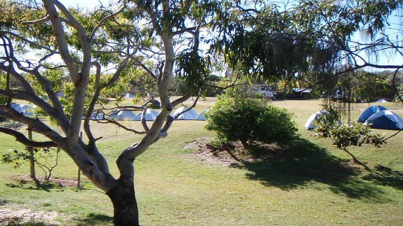 Dilli Village Fraser Island( K'gari) | Orchid Blue