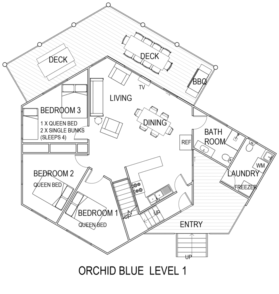 Orchid Blue Level 1 | Orchid Blue