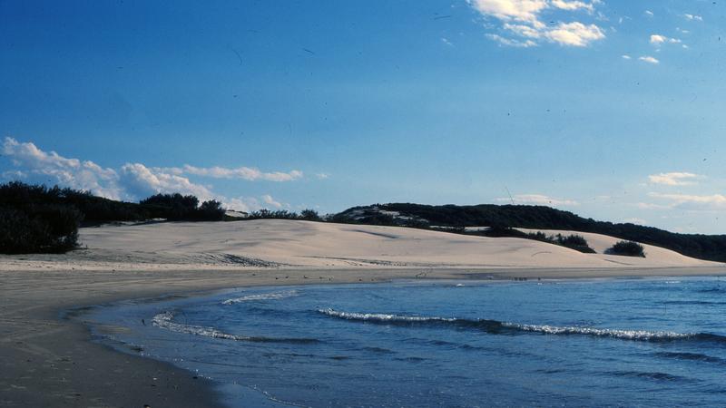 Sandy Cape Fraser Island( K'gari) | Orchid Blue