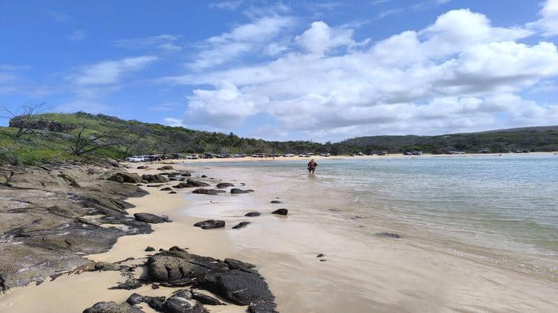 Waddy Point Fraser Island( K'gari) | Orchid Blue