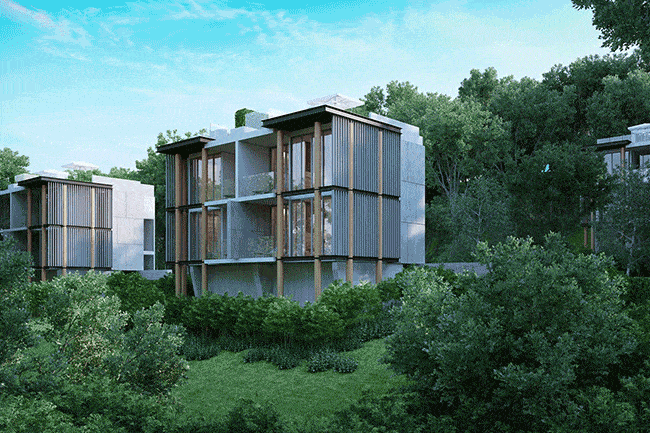 Appartements modernes et lumineux en pleine végétation