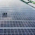 Experts share 5 top things you should know when taking your business solar