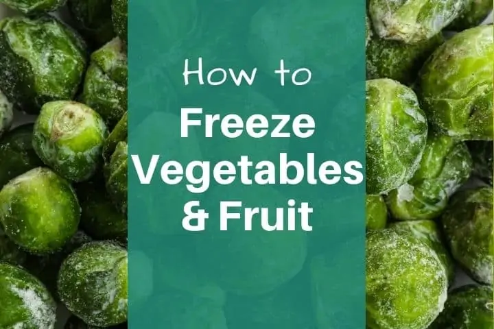 8 Easy Steps On How To Freeze Vegetables (and Fruit!)