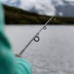 best catfish rods and reels in 2026