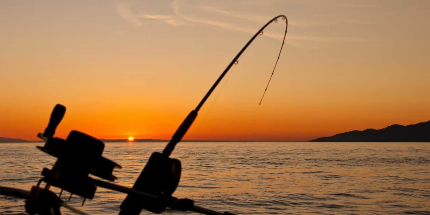 The Perfect Strike: How to Set the Hook When Fishing