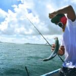 when fish bite the most