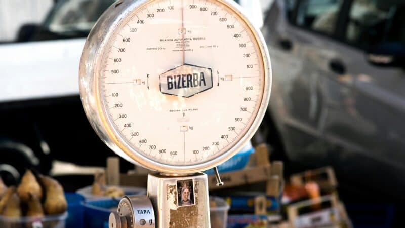 Best Fishing Scales in 2026: Accurate for Weighing Your Catch