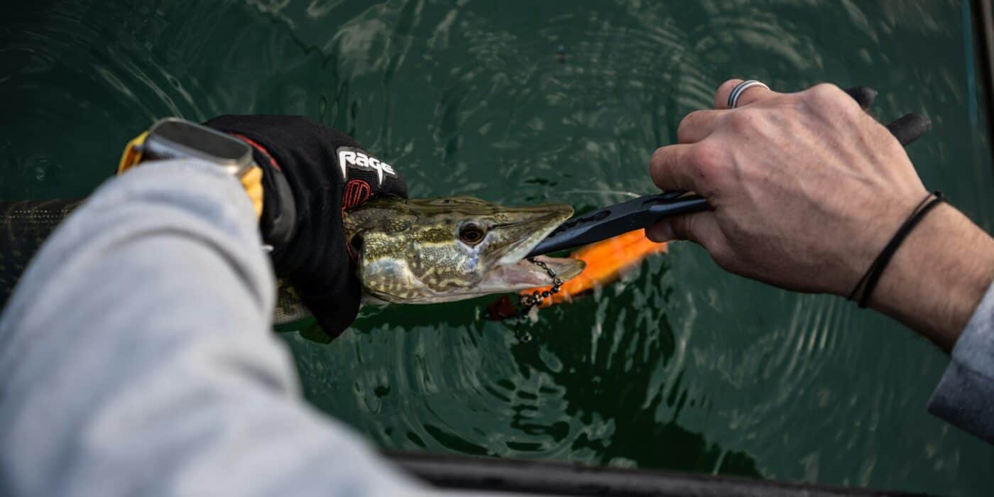 Best Fishing Hook Removers in 2026: Quick, Safe Unhooking Tools for Every Catch
