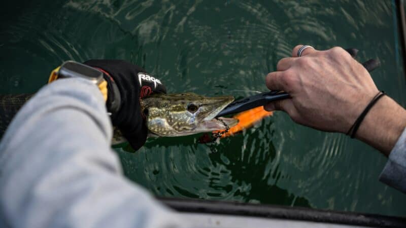 Best Fishing Hook Removers in 2026: Quick, Safe Unhooking Tools for Every Catch