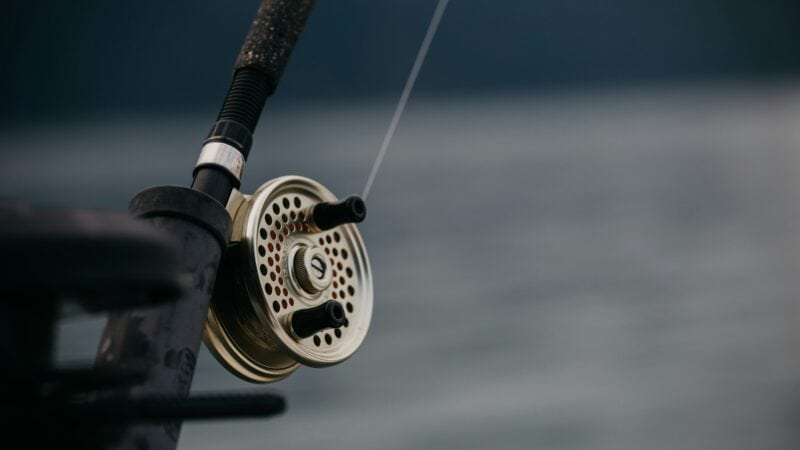 Fluorocarbon vs Monofilament Fishing Line: Which Should You Use?