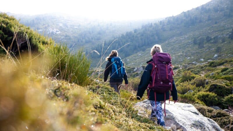 How to Hike Downhill Without Knee Pain: Tips For Safe Hiking