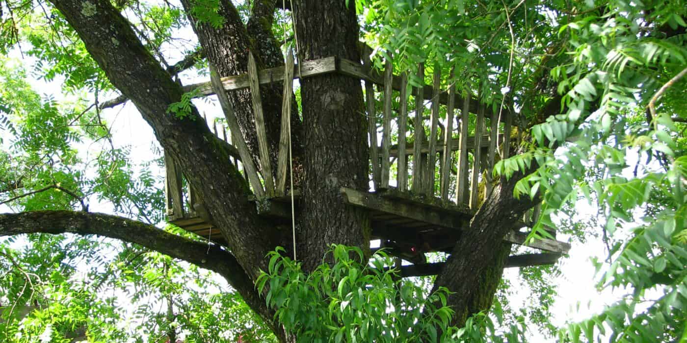 Best Tree Stands for Hunting in 2026: Climbing, Hang-On, and Ladder Picks