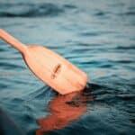 a canoe paddle in water