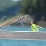 a fishing rod water setup