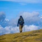Do Trekking Poles Actually Help: Load Transfer, Descents, and Trade-Offs