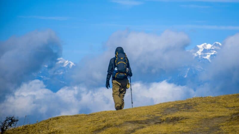 Do Trekking Poles Actually Help: Load Transfer, Descents, and Trade-Offs