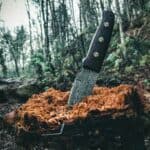 a knive in log outdoor
