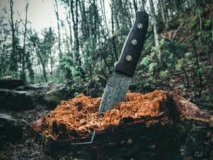 a knive in log outdoor