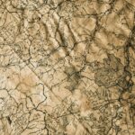 a topographical map full