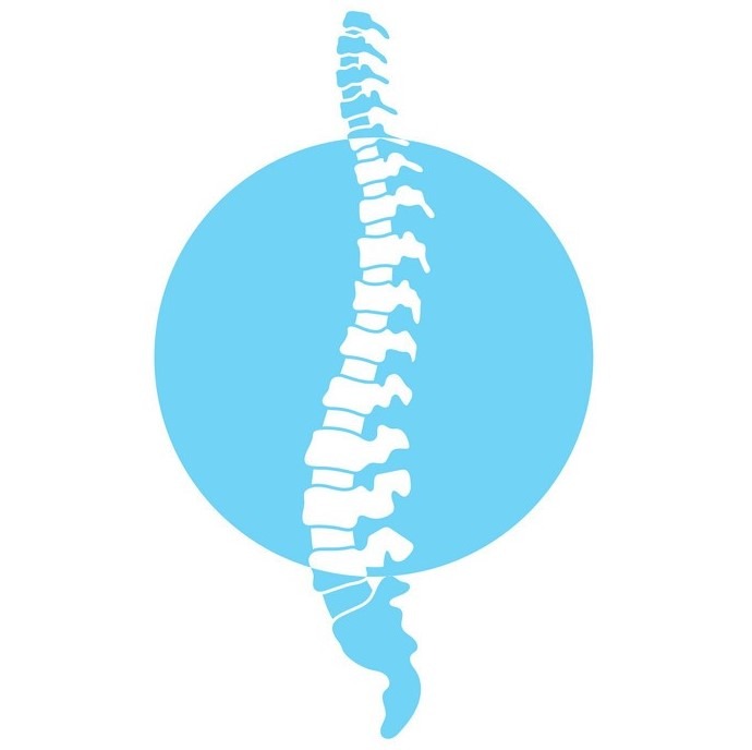 our web design client chiropractor