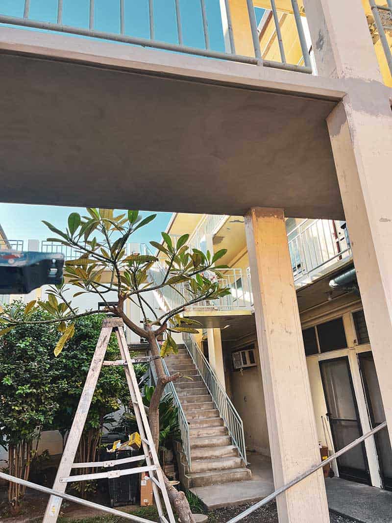 Paradise Painting, LLC.