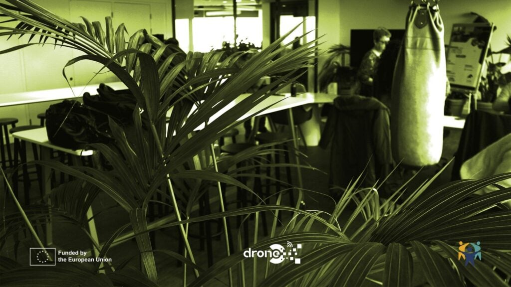 Aerial city view in soft watercolour style with the word DRONE above and “Handbook Validation Workshop” below, illustrating a European project on digital literacy and disinformation.