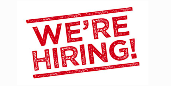 Vacancy | Senior Researcher: Local Government