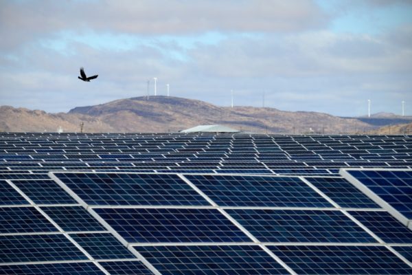 DE AAR, EMTHANJENI - 27 August 2021 - Globeleq's solar farm in De Aar.
Photo: Bram Lammers