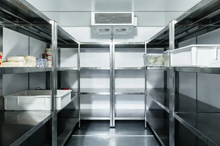 Commercial Reach-In Freezer