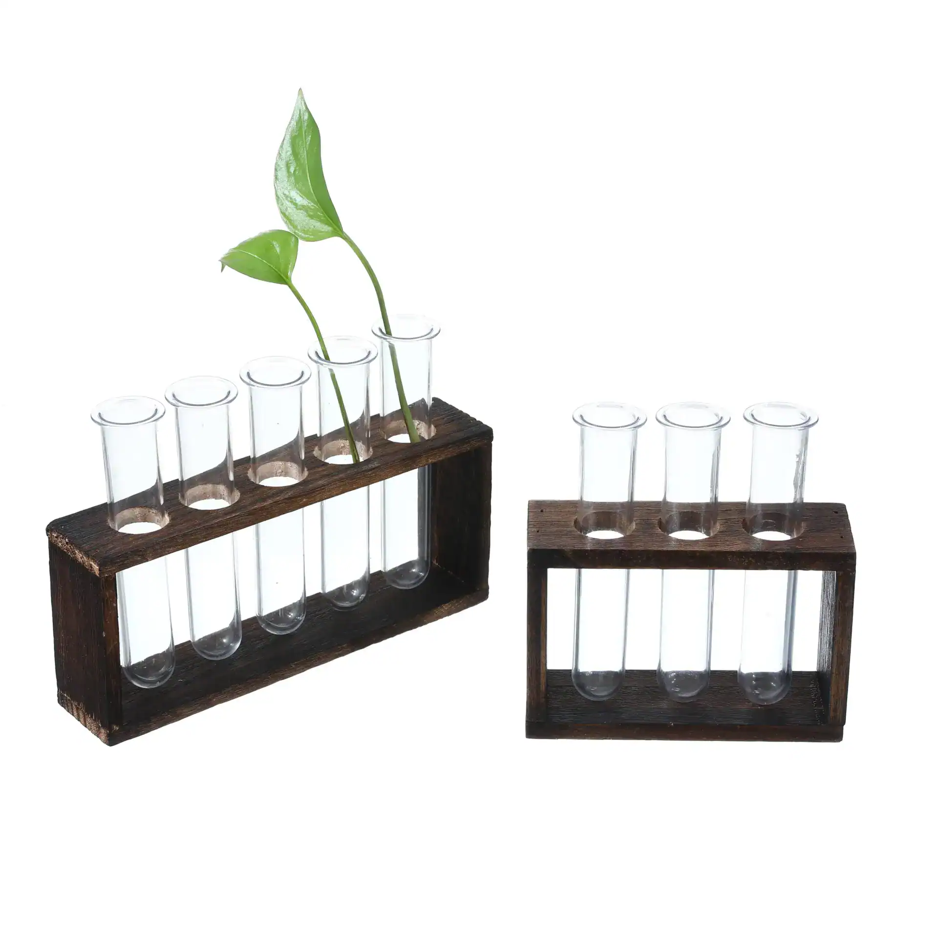 מבחנות זכוכית בשלישיית עץ לשימושים מעשיים ולקישוט.