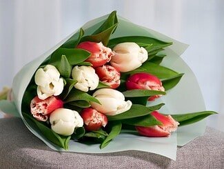 Bouquet di tulipani per diploma