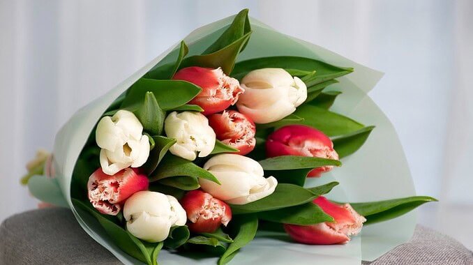 Bouquet di tulipani per diploma