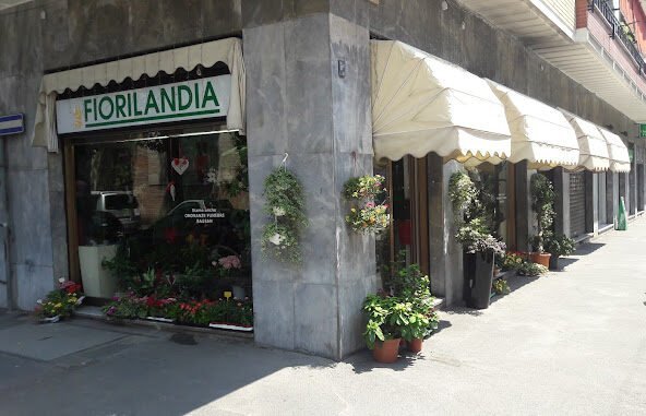 Negozio fiorilandia