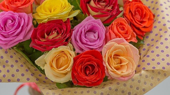 Qual è il significato di regalare rose