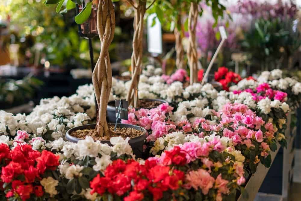 Composizioni floreali a MIlano