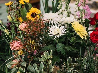 Il tuo punto di riferimento per fiori e piante a Milano