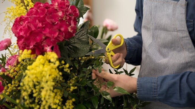Fiori di qualità e servizio eccellente