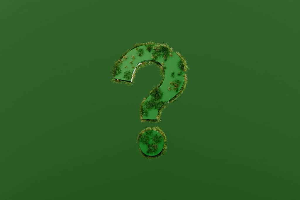 Il significato dei fiori di primavera