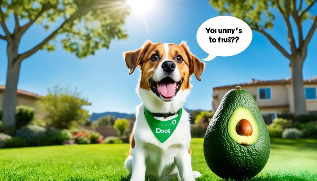 can dogs eat avocado pits