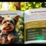 High-End Dog Insurance Plans
