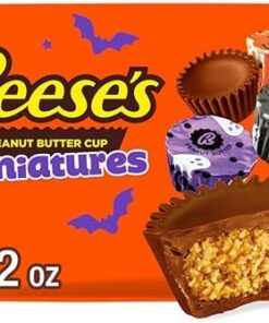 BIG BAG REESE'S MINIS 5.3OZ