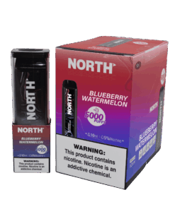 North 5000 Puffs Blueberry Watermelom