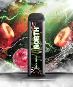 North 5000 Puffs Peach Apple