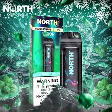 North 15000 Puffs Miami Mint