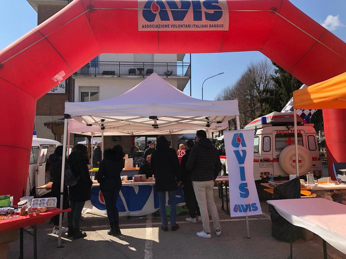 Avis Farini