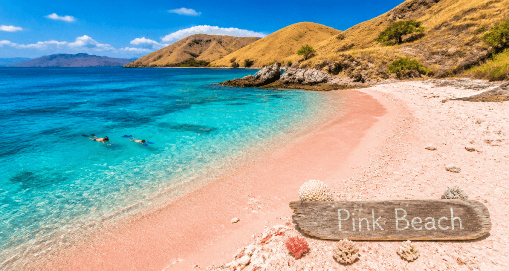 pink beach komodo sable rose mer turquoise