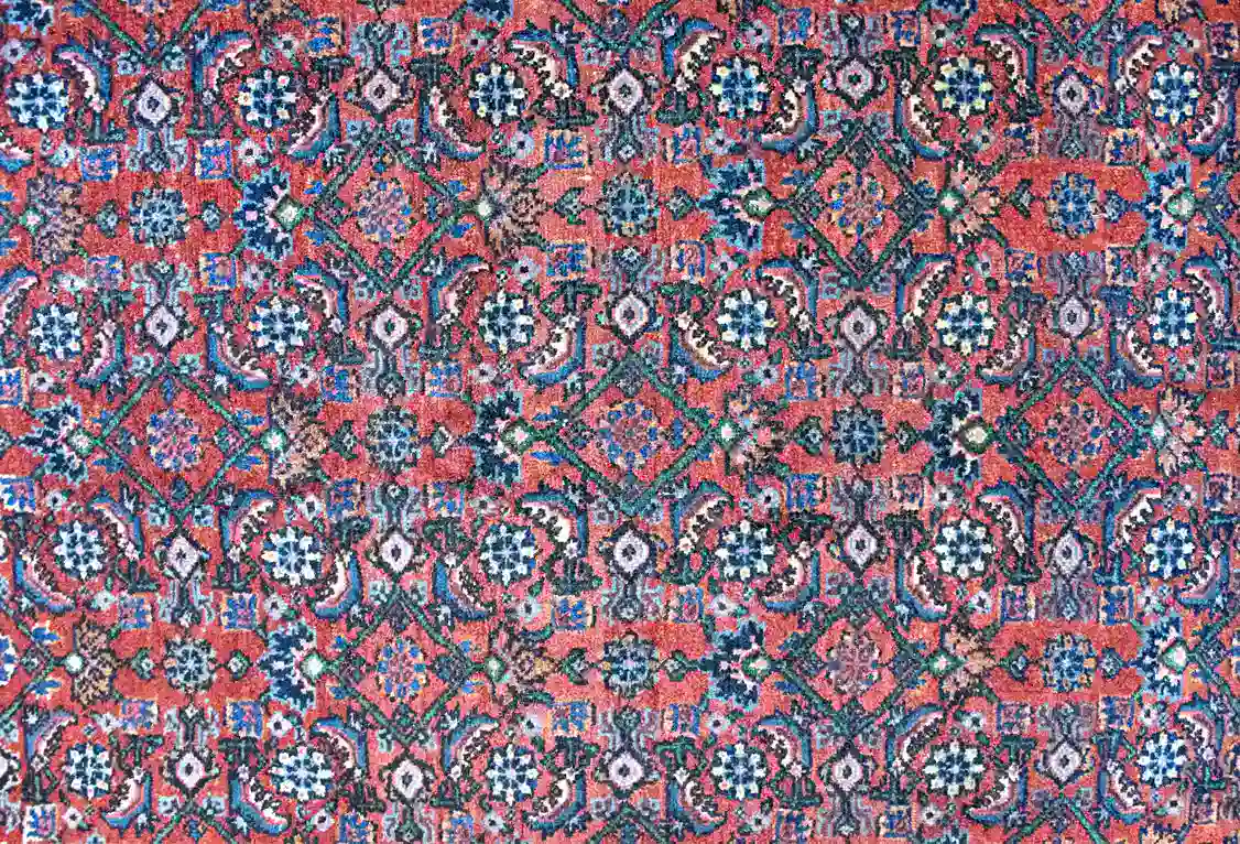 9 x 12 Bijar Persian Area Rug Design Details - pineville rug gallery - charlotte nc