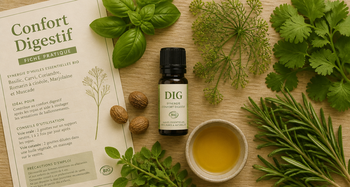 huile essentielle dig bienfaits synergie plantes